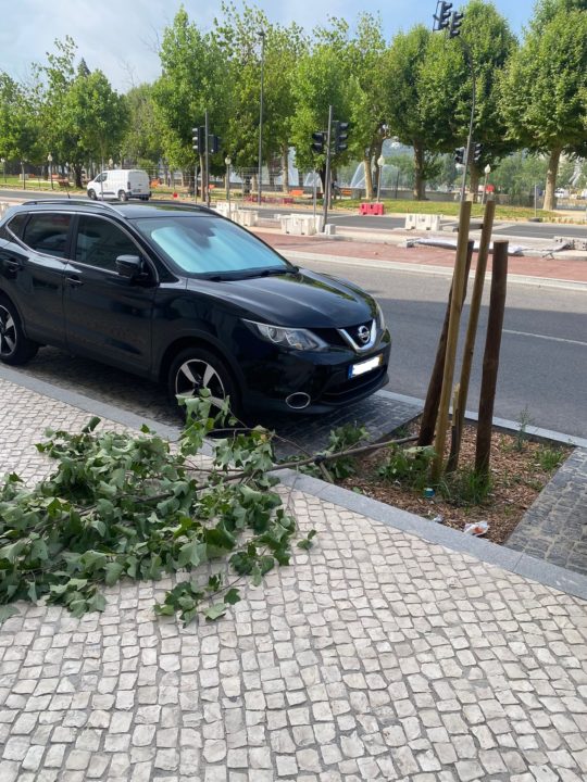 WhatsApp Image 2025-06-23 at 16.44.33 (3)