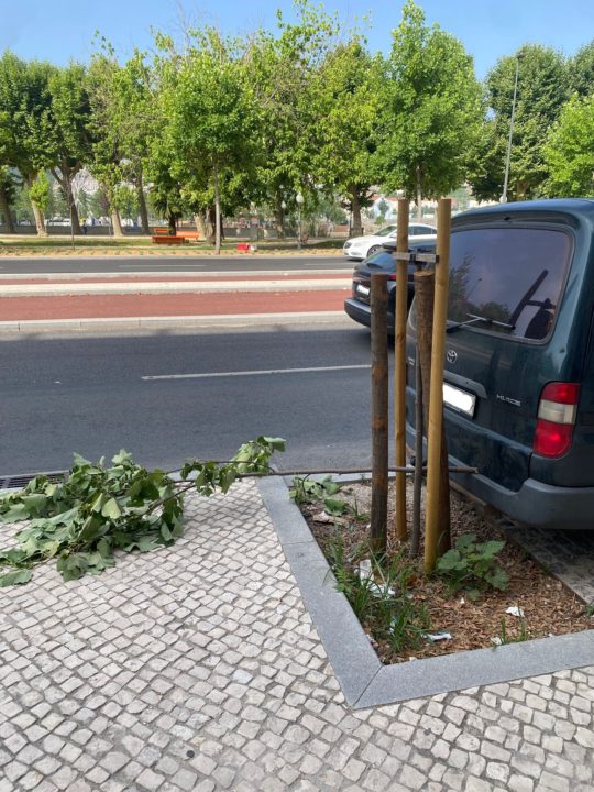 WhatsApp Image 2025-06-23 at 16.44.33 (4)