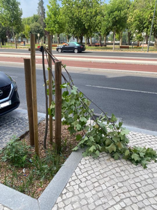 WhatsApp Image 2025-06-23 at 16.44.33 (5)