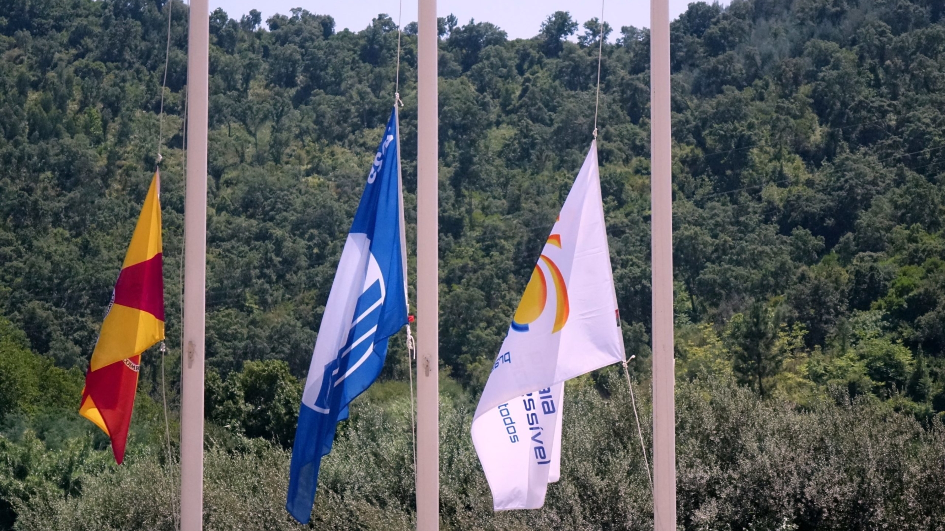 Praias fluviais do Rebolim e de Palheiros e Zorro distinguidas com Bandeira Azul e galardão de acessibilidade