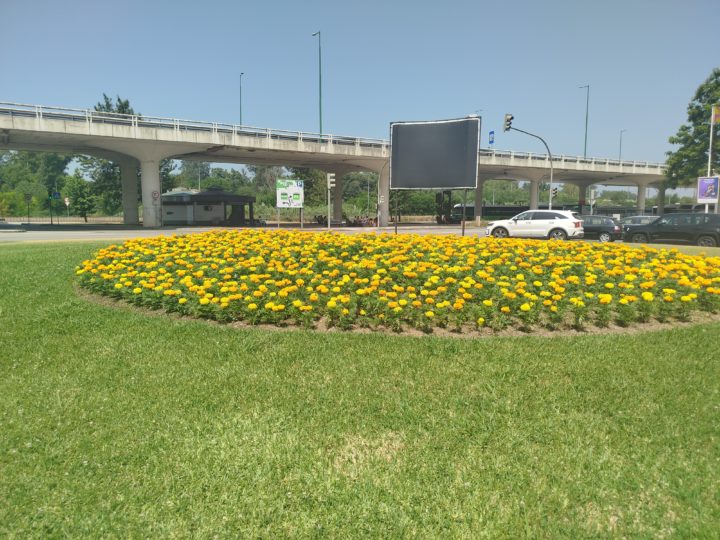 Espaços Verdes e Jardins