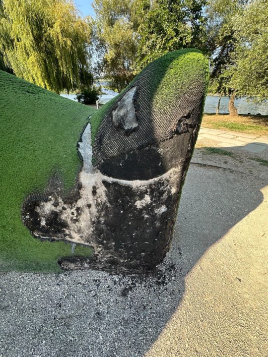 CM de Coimbra condena vandalização do Urso do Parque Verde (1)