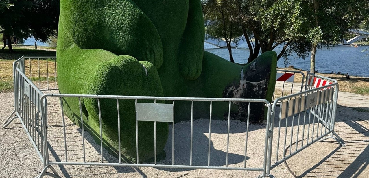 CM de Coimbra condena vandalização do Urso do Parque Verde