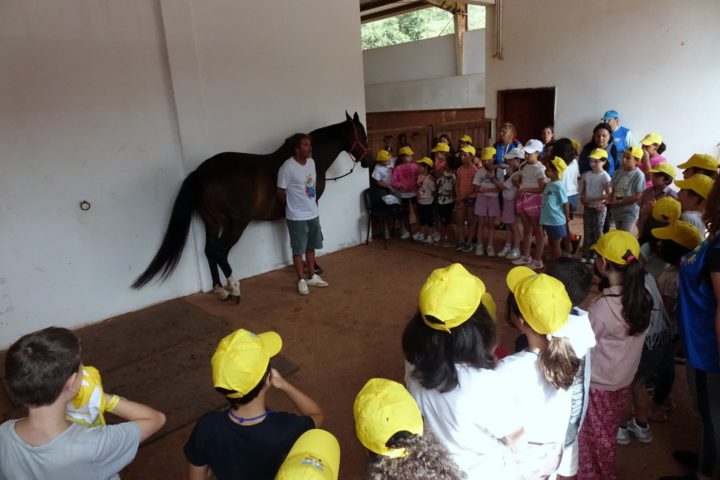 Férias Escolares (passeios de cavalo) (6)
