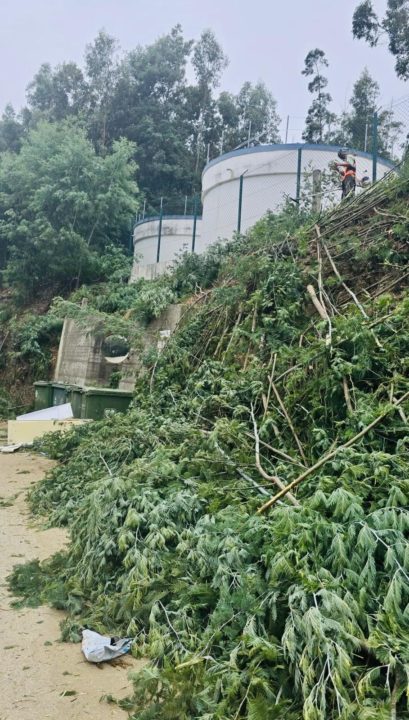 Início dos trabalhos de desmataçao faixas de combustível