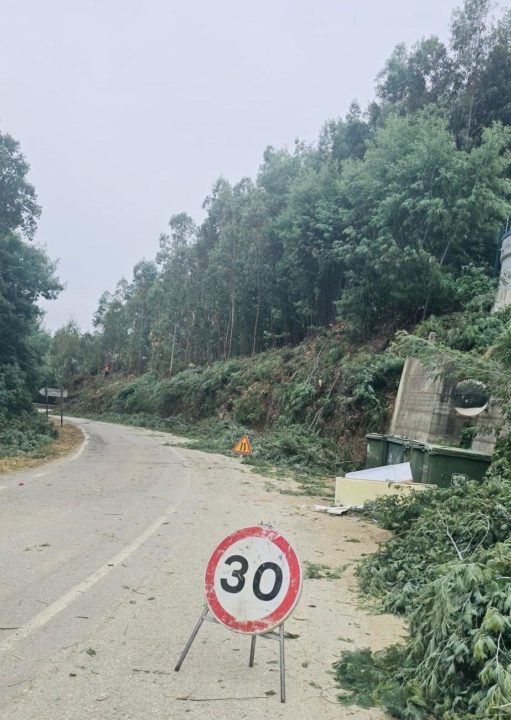 Início dos trabalhos de desmataçao faixas de combustível2