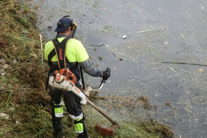 Limpeza da margem direita do rio (8)