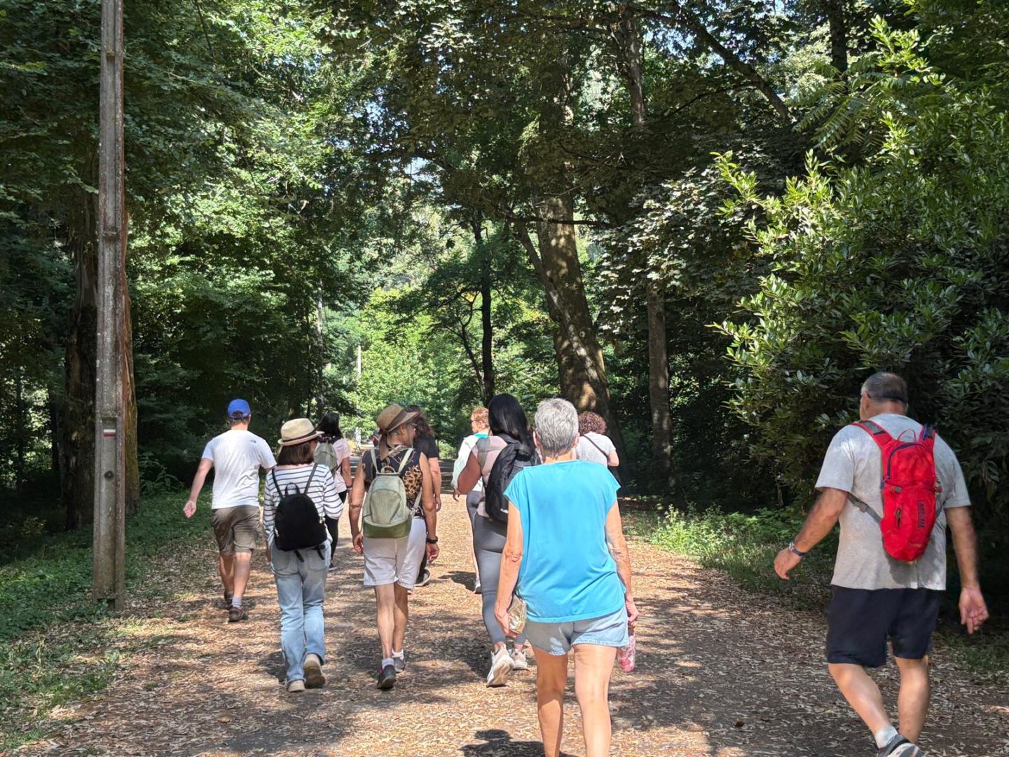 Coimbra estreia iniciativa “Walk With a Doc” com caminhada no Choupal