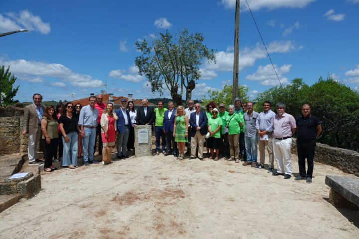 Visita ao Espaço Laudato SI e Oliveira de Honra do Papa Francisco 1 (Personalizar)