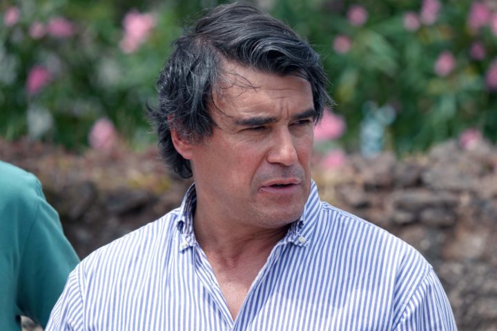 Visita ao Espaço Laudato SI e Oliveira de Honra do Papa Francisco 11 (Personalizar)