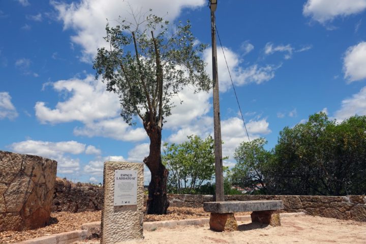 Visita ao Espaço Laudato SI e Oliveira de Honra do Papa Francisco 2 (Personalizar)
