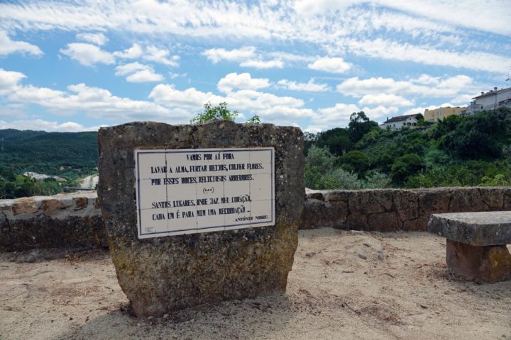 Visita ao Espaço Laudato SI e Oliveira de Honra do Papa Francisco 5 (Personalizar)