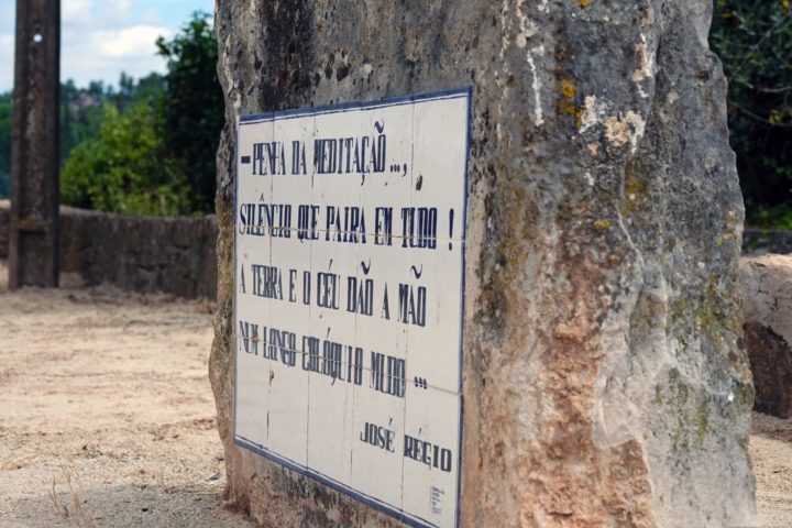 Visita ao Espaço Laudato SI e Oliveira de Honra do Papa Francisco 9 (Personalizar)