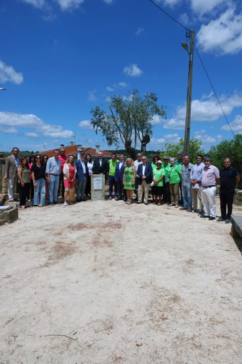 Visita ao Espaço Laudato SI e Oliveira de Honra do Papa Francisco Vertical 1 (Personalizar)
