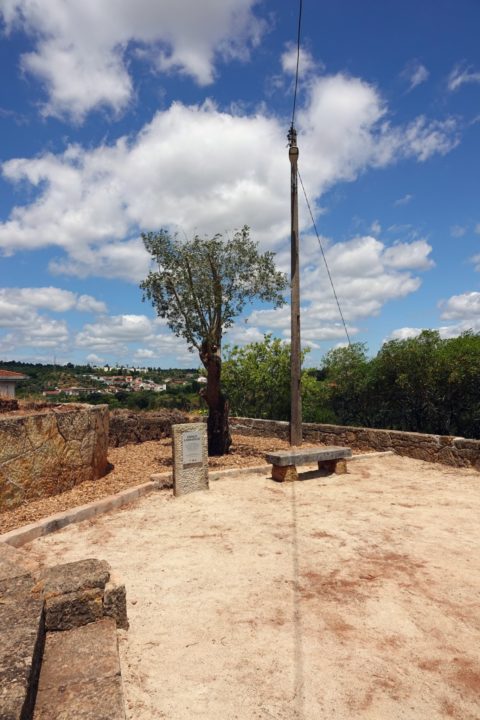 Visita ao Espaço Laudato SI e Oliveira de Honra do Papa Francisco Vertical 2 (Personalizar)