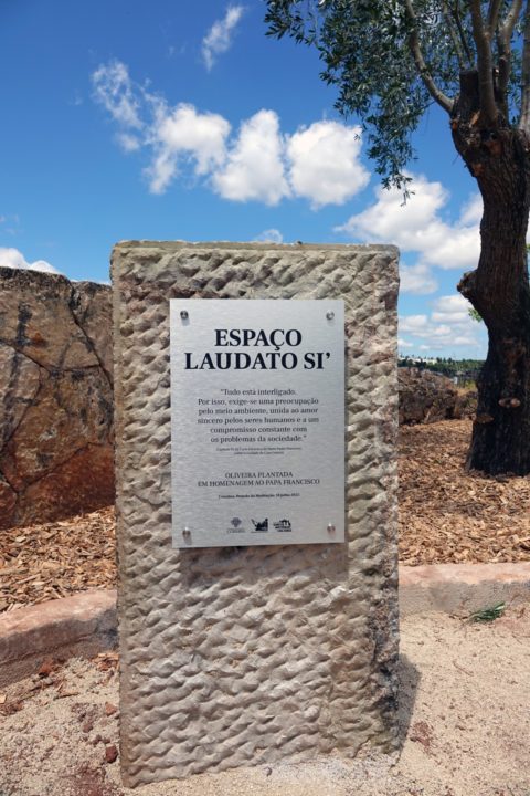 Visita ao Espaço Laudato SI e Oliveira de Honra do Papa Francisco Vertical 3 (Personalizar)