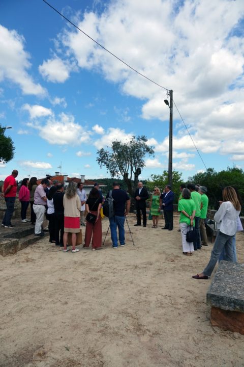 Visita ao Espaço Laudato SI e Oliveira de Honra do Papa Francisco Vertical 4 (Personalizar)