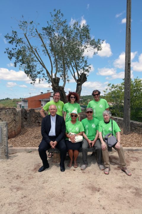 Visita ao Espaço Laudato SI e Oliveira de Honra do Papa Francisco Vertical 5 (Personalizar)