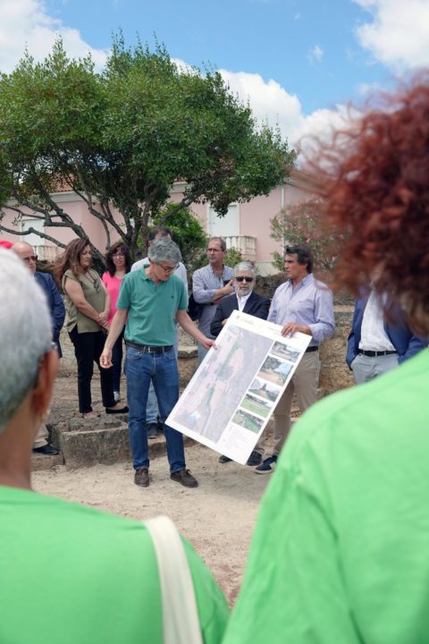 Visita ao Espaço Laudato SI e Oliveira de Honra do Papa Francisco Vertical 6 (Personalizar)