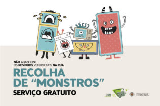 CM de Coimbra relembra campanha para evitar abandono de monos na via pública