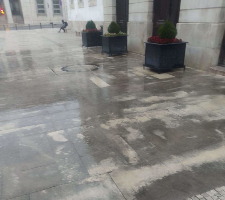 Barómetro do Ambiente e Sustentabilidade destaca intervenções em julho (4)