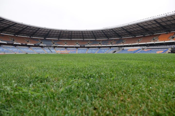 DSC06138 (Personalizar)