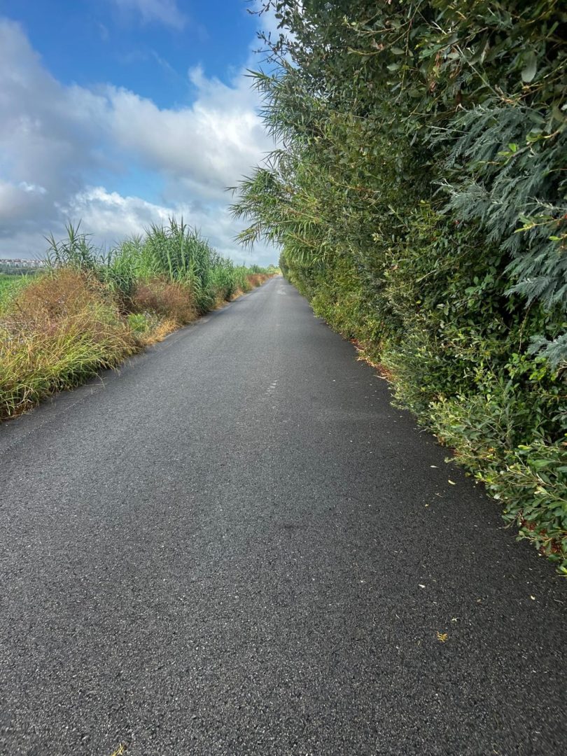 Meia Maratona do Ameal vai decorrer a 21 de setembro e as inscrições já estão abertas