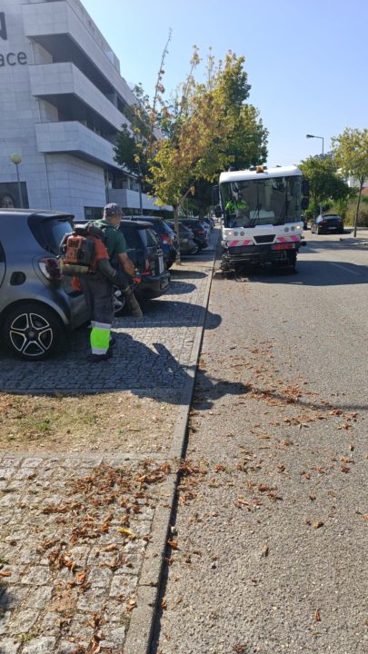 Barómetro do Ambiente e Sustentabilidade destaca intervenções em agosto (2)