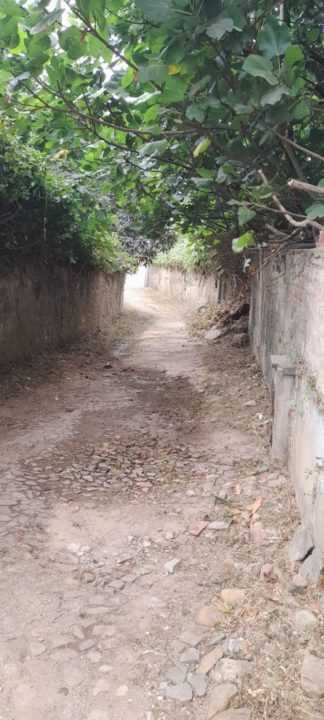 Limpeza e desmatação acesso Estação Colégios