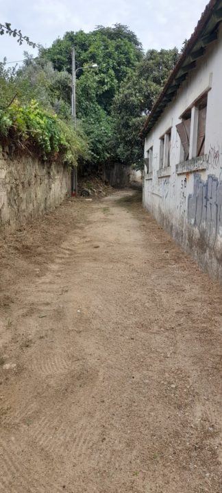 Limpeza e desmatação acesso Estação Colégios 2