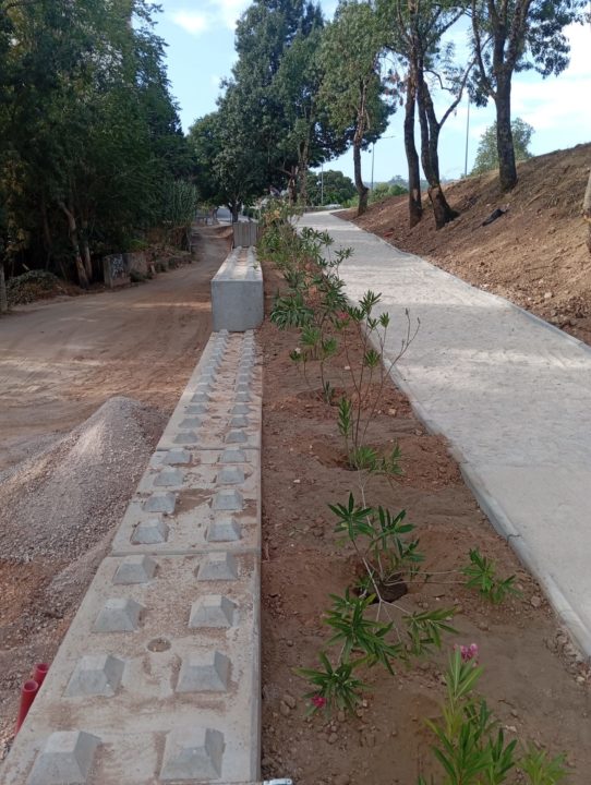 Plantação arbustos no acesso Estação Colégio