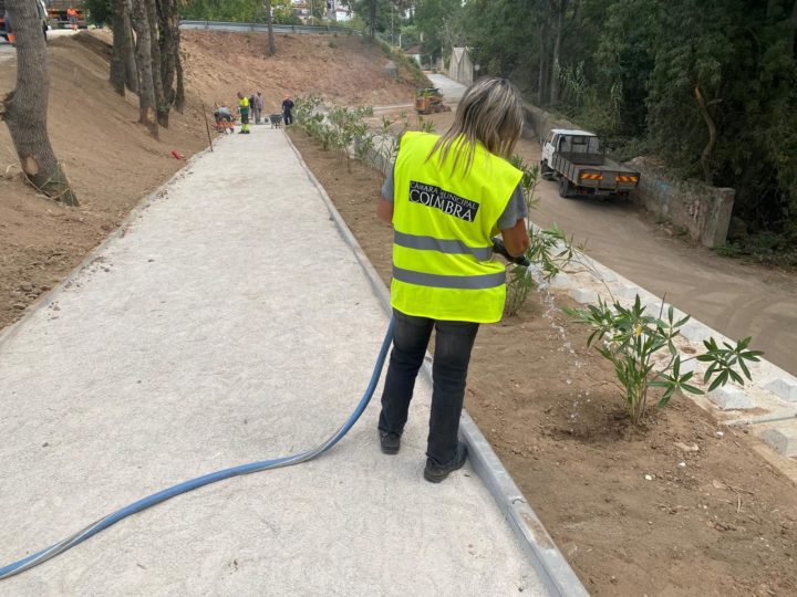 Plantação arbustos no acesso Estação Colégios