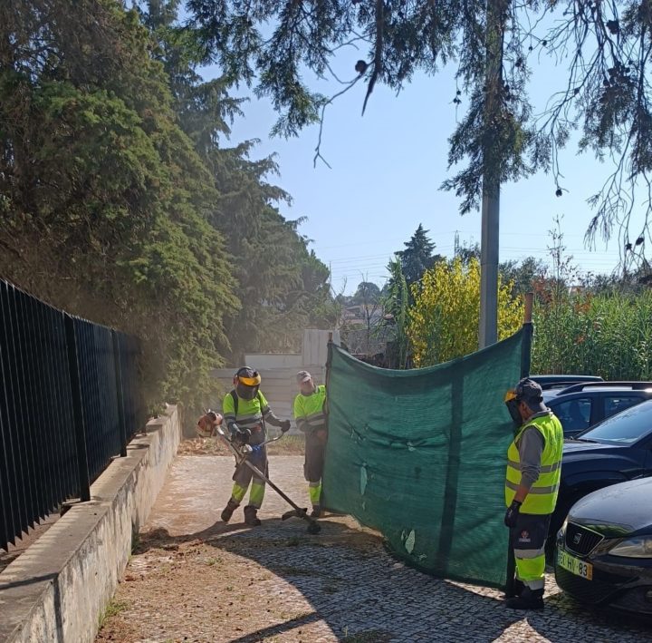 Barómetro Ambiente e Sustentabilidade (4)