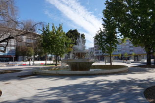 Coimbra ilumina-se de verde para assinalar o Dia Internacional da Síndrome de Phelan-McDermid