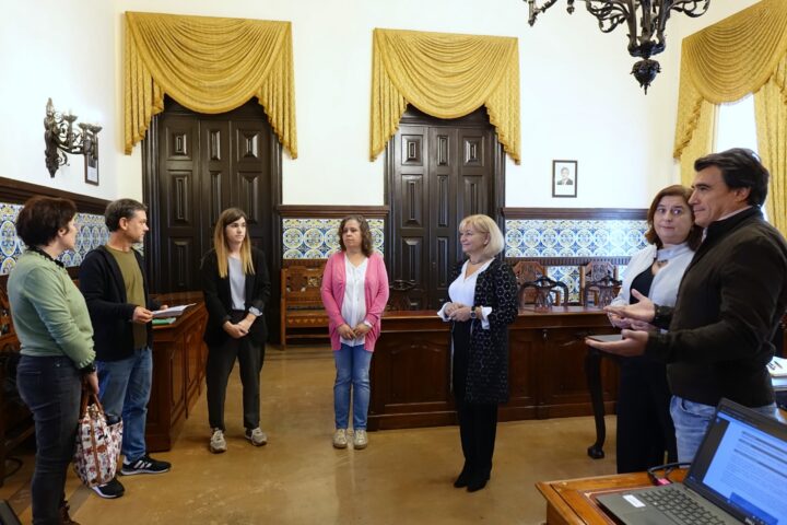 CM de Coimbra vai restaurar estátua de D. Dinis na Alta Universitária (1)