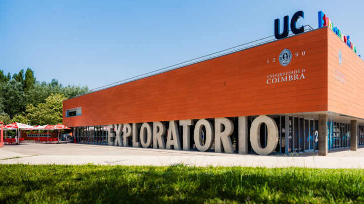 DSC03294-Enhanced-NR