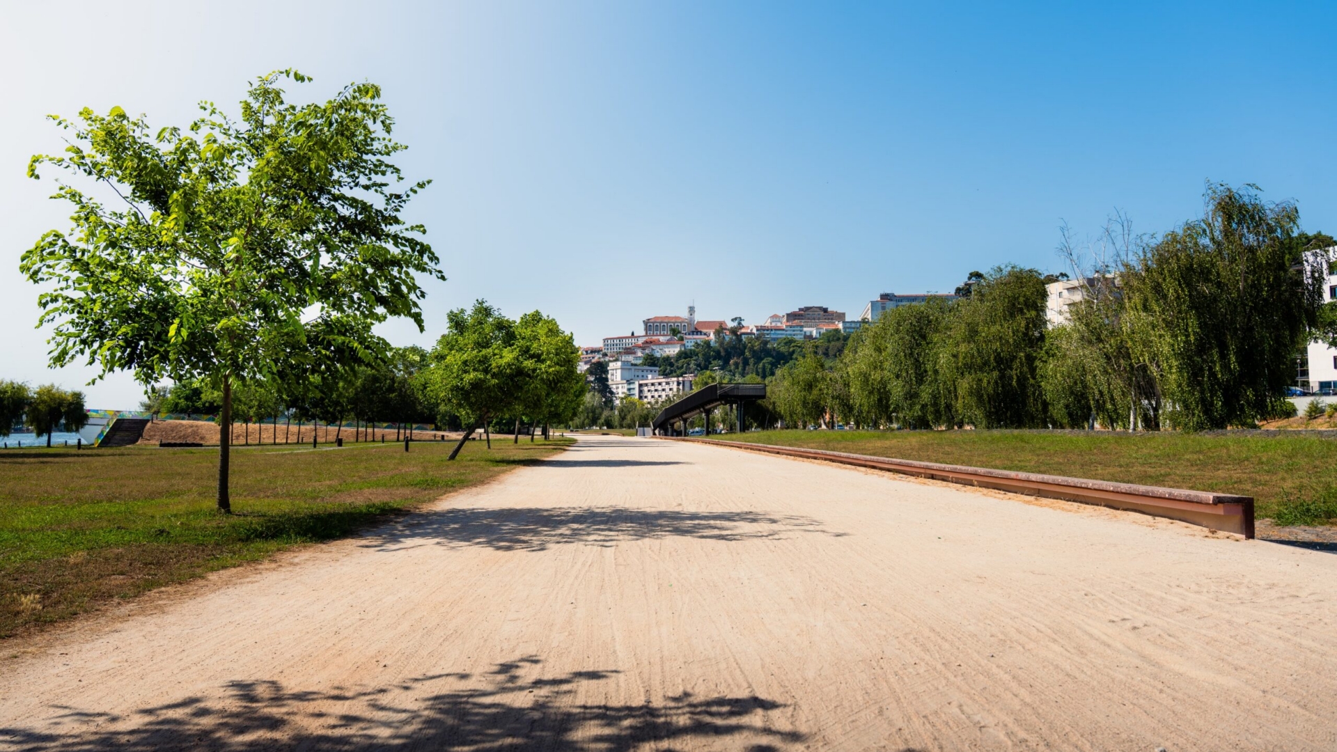 Caminhada “Diabetes Passo a Passo” celebra o Dia Mundial da Diabetes em Coimbra