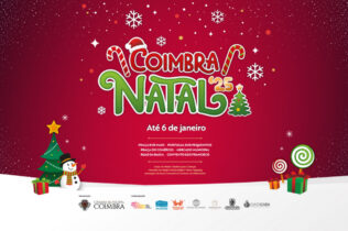 Natal chega a Coimbra com luzes, mercado, concertos e uma Aldeia no Portugal dos Pequenitos
