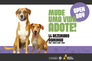 Canil Municipal abre portas ao público este domingo para mais um “Open Day”