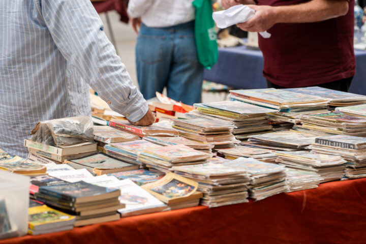 Feira das Velharias (1)