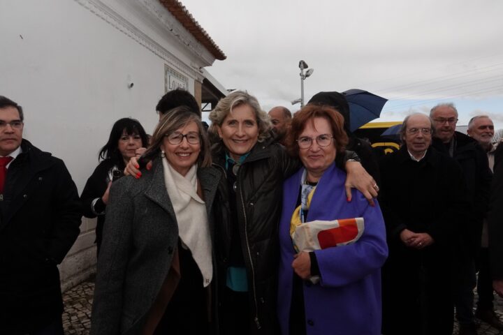 Metrobus liga Coimbra a Serpins (6)