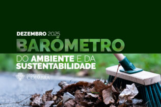 Barómetro do Ambiente e Sustentabilidade destaca intervenções em dezembro