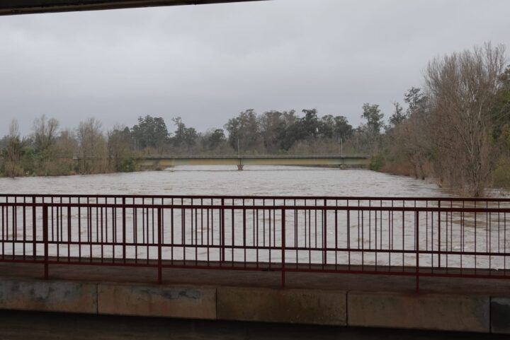 WhatsApp Image 2026-01-30 at 10.36.21