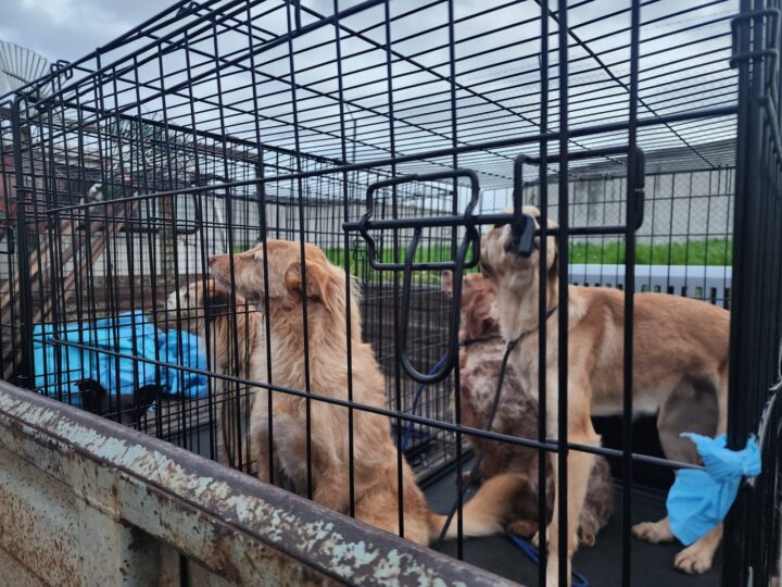 WhatsApp Image 2026-01-31 at 19.10.36 (1)