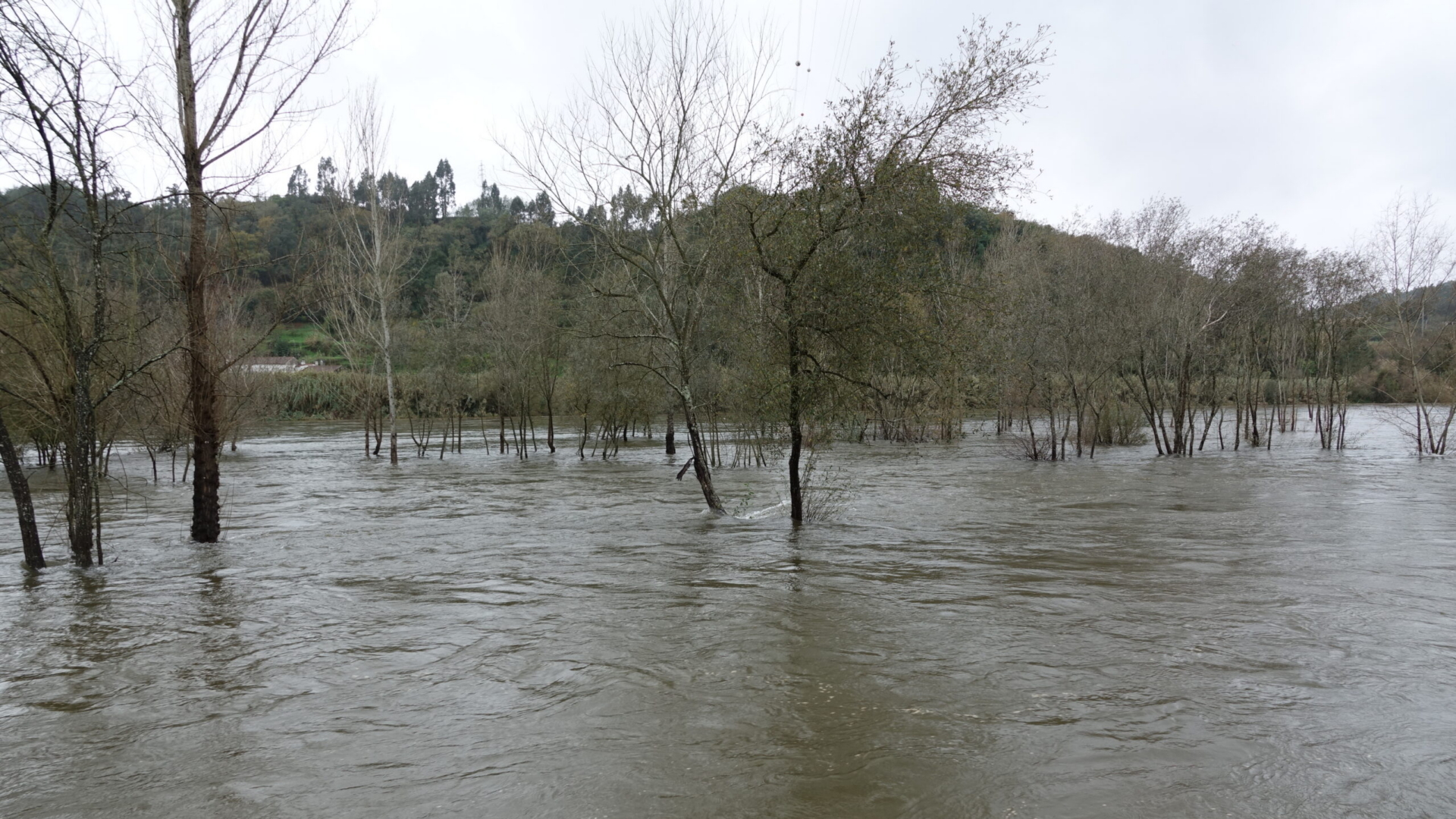 APA alerta para risco de cheias no Mondego nos próximos dias
