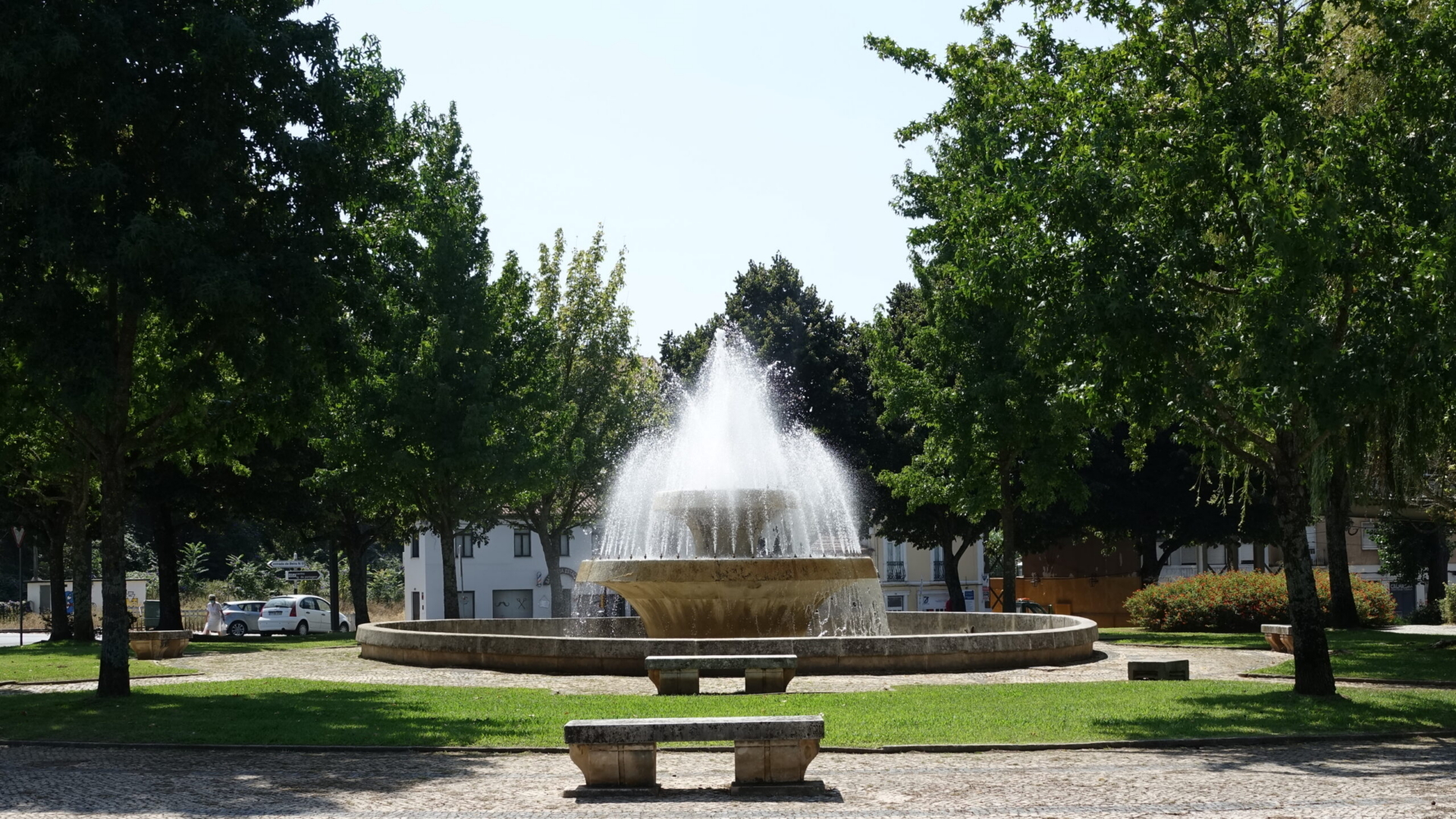 Coimbra ilumina fontes a verde no Dia Mundial do Colangiocarcinoma