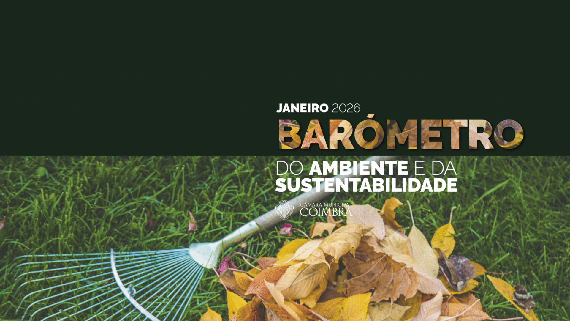 Barómetro do Ambiente e Sustentabilidade destaca intervenções em janeiro
