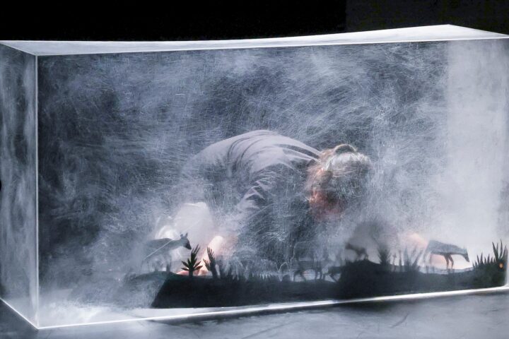 A Corça e a Mãe Terra © CCB (1)