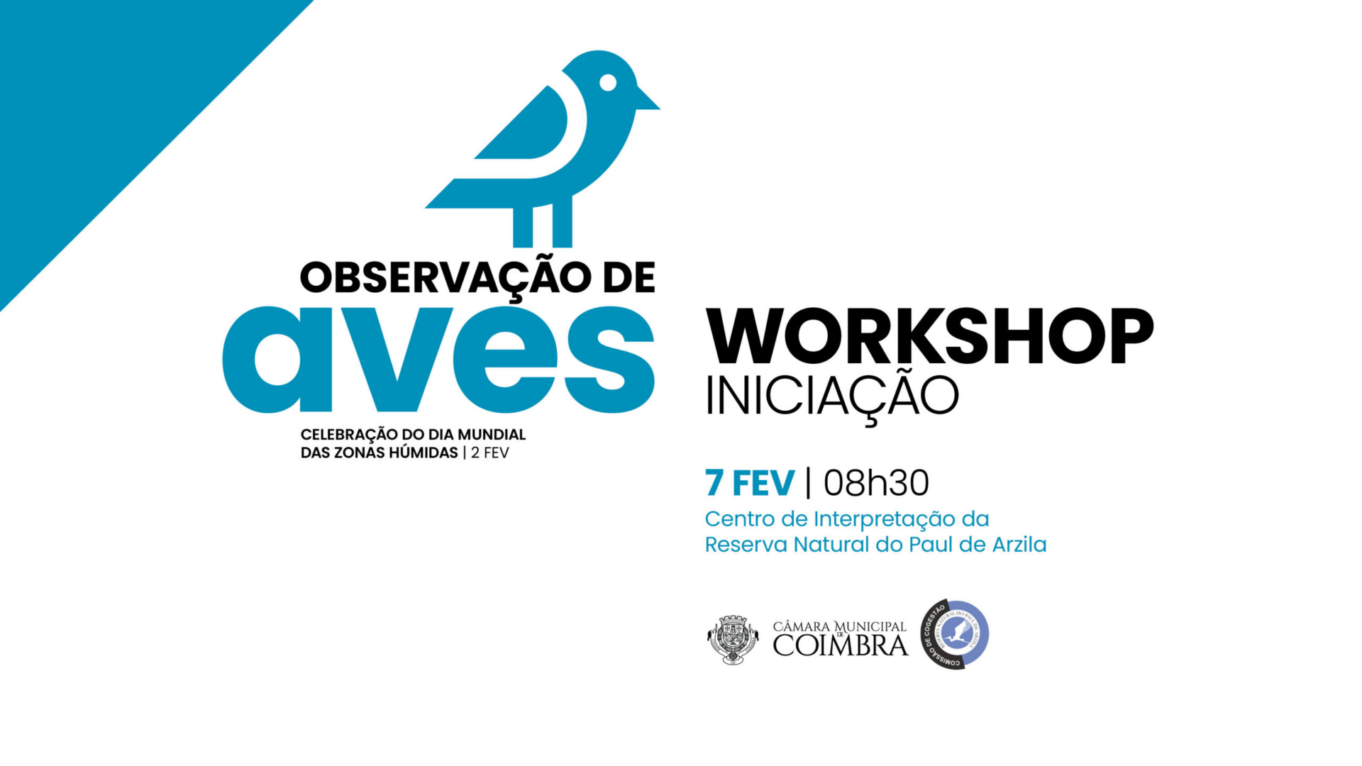 CM de Coimbra promove workshop de observação das aves no próximo sábado no Paul de Arzila