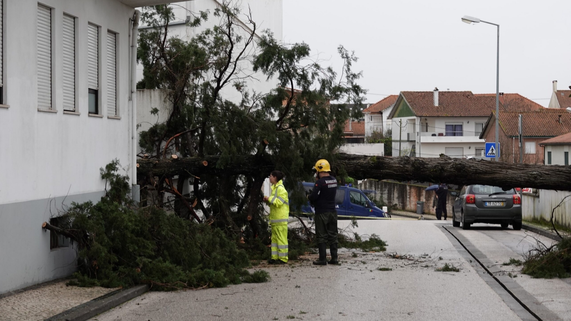 Plataforma para pedir apoios à reconstrução disponível no site da CCDR Centro